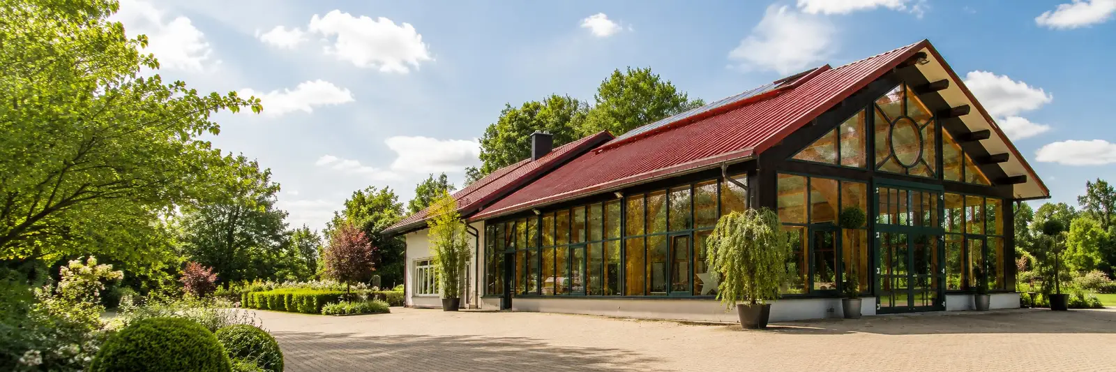 Ihre Baumschule für hohe, immergrüne Hecken