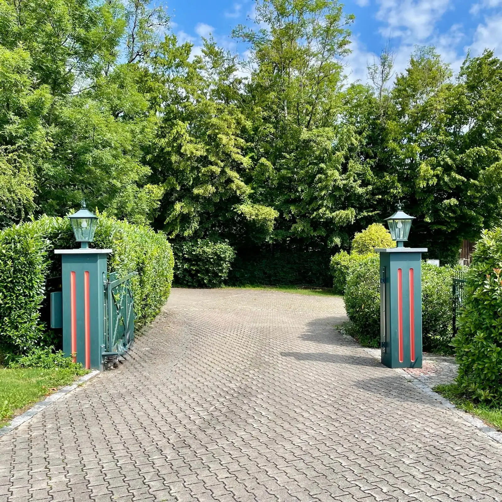 Blickdichte Kirschlorbeerhecke an einer Grundstückseinfahrt
