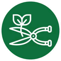 Schnitt-Icon