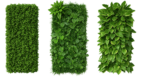 Hecken-Sortiment: Hecken-Elemente