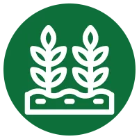 Pflanzdichte-Icon