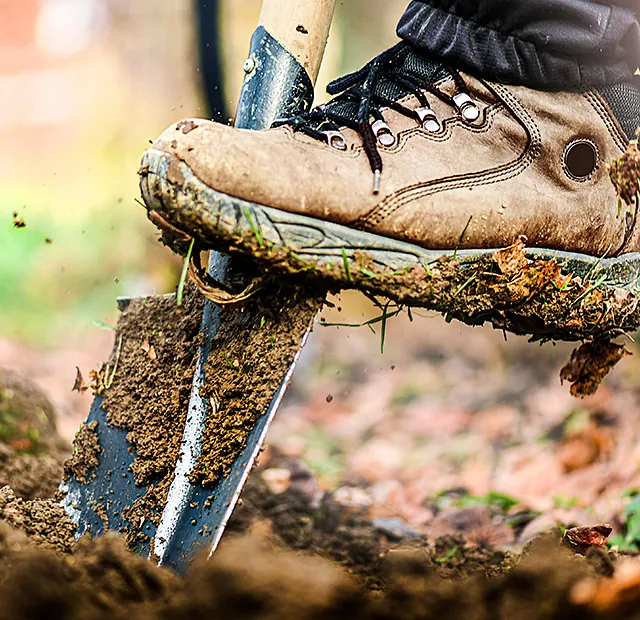 Impressionen der Park & Garten GmbH: Einpflanzen durch das professionelle Pflanz-Team