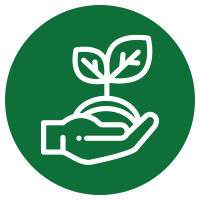 Ausführliche Beratung: Welche Hecke für welchen Standort, Pflegehinweise etc.