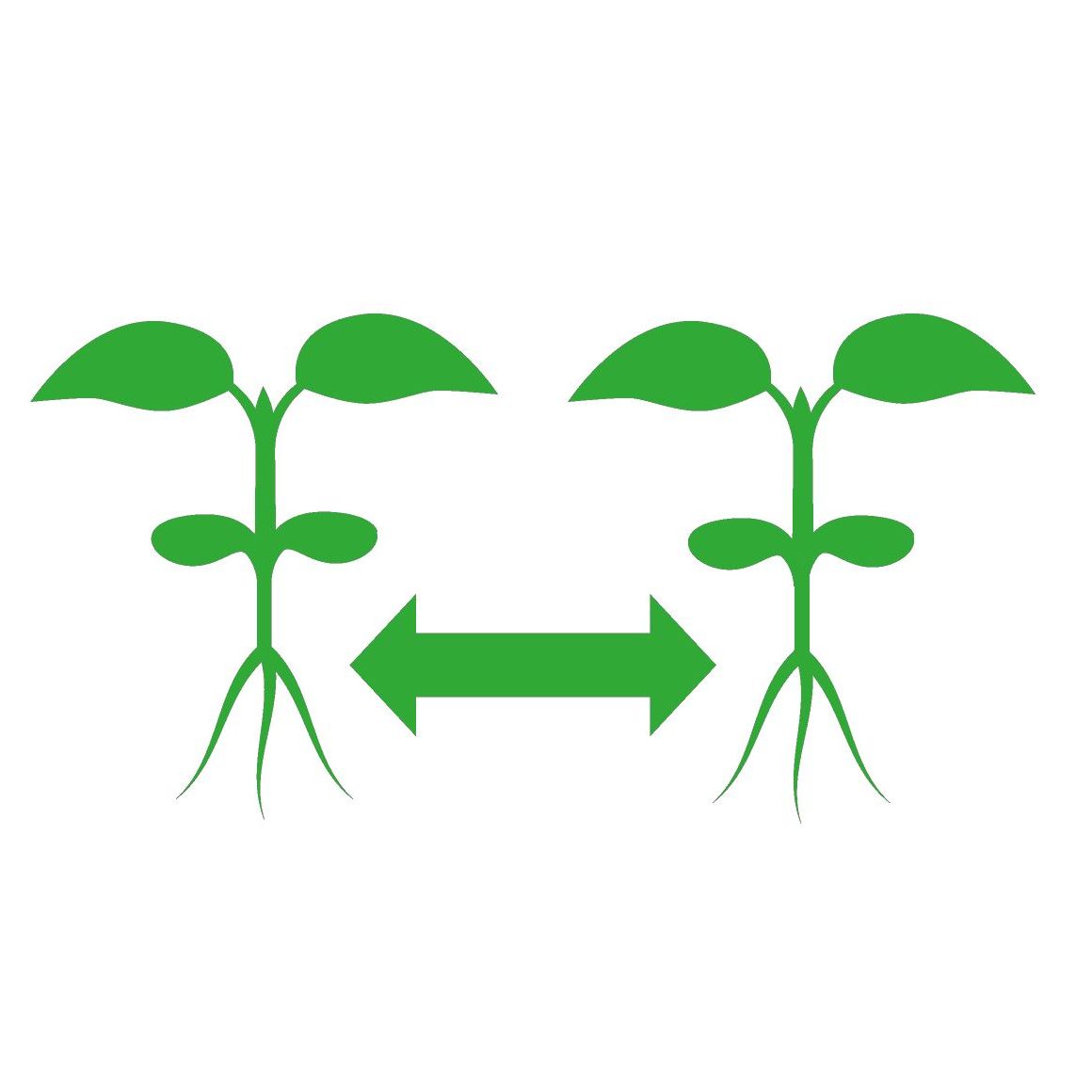 Heckenwelt-Icon – Modernste Aufzucht